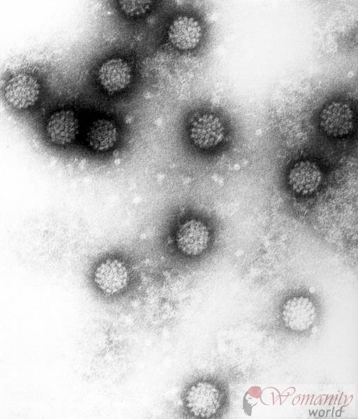 Spanje heeft de eerste vaccin dat negen types van het humaan papillomavirus beschermt.