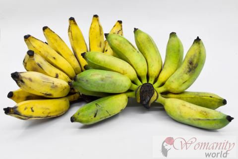 Banana voedings- en gezondheidsvoordelen
