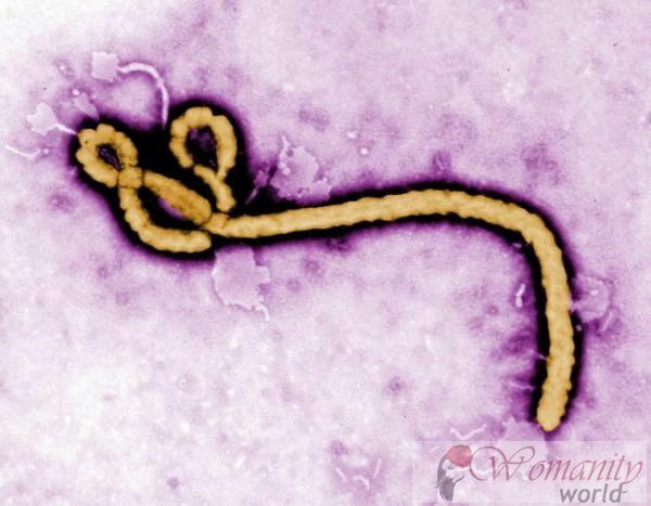 Opkomende virussen: zeer gevaarlijk als ze zouden dodelijkheid en hoge besmetting doe mee.