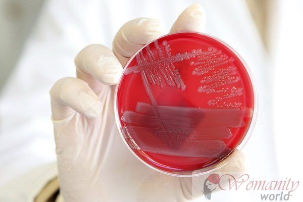 Escherichia coli, gevaarlijke bacteriën