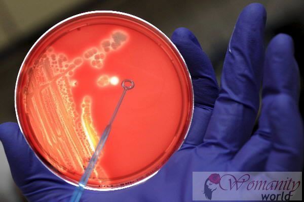 Multiresistente bacteriën tegen antibiotica Spanje, een land met meer risico