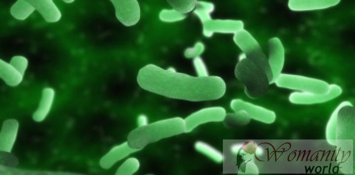 Ein Ausbruch von „E. coli Gesundheit Warnleuchten in Deutschland