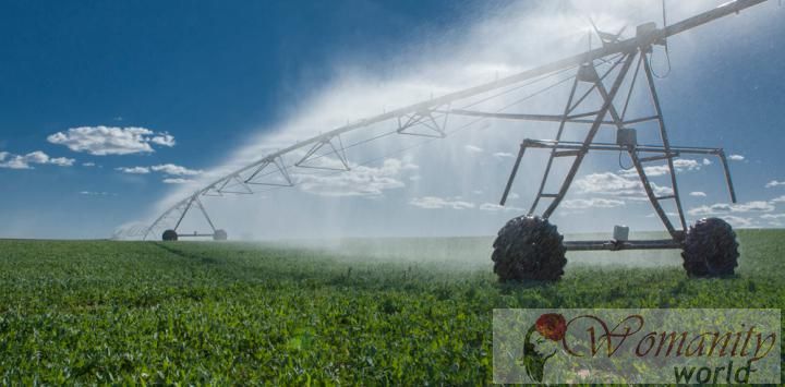 Nahrungsmittelallergie mit dem Vorhandensein von Pestiziden in Leitungswasser zugeordnet ist.