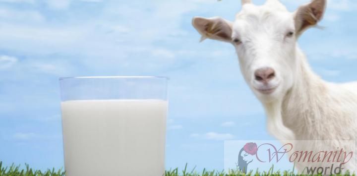 Verwaltung natürliche Milch reich an Omega 3