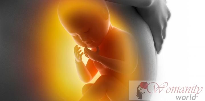 Associate geslacht van de foetus met een zwangerschapsduur diabetes.