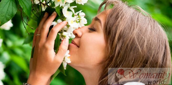 Dreigingsniveau ozon geur en reproductie van bloemen