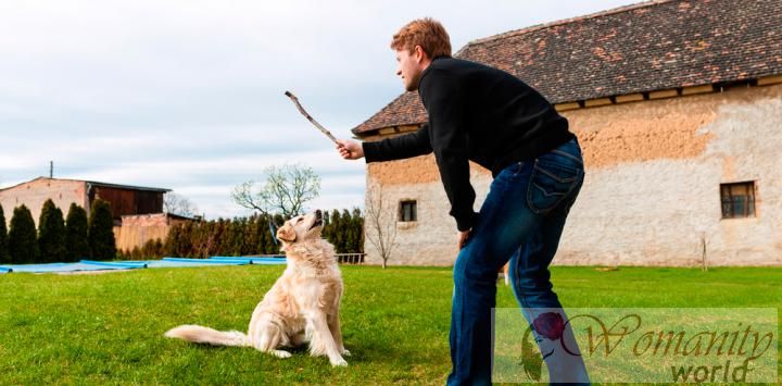 Les risques pour les chiens jeter des bâtons à jouer