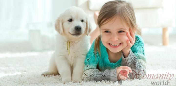 Kinderen zijn meer vertrouwen met hun huisdieren dan hun broeders