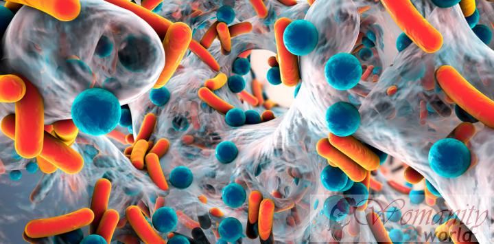 De gevaren 12 dodelijkste superbacteriën.