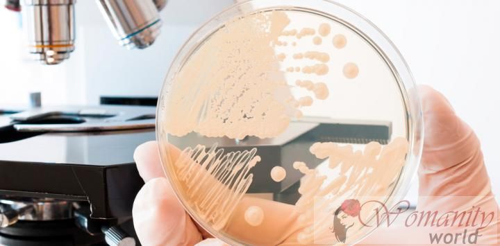 Zijn er bacteriën in de baarmoederhals, dat het risico van vroegtijdige levering te voorspellen.