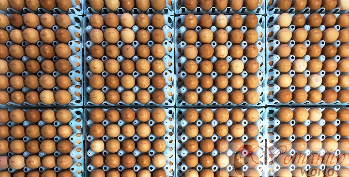 De grote mythen van eieren
