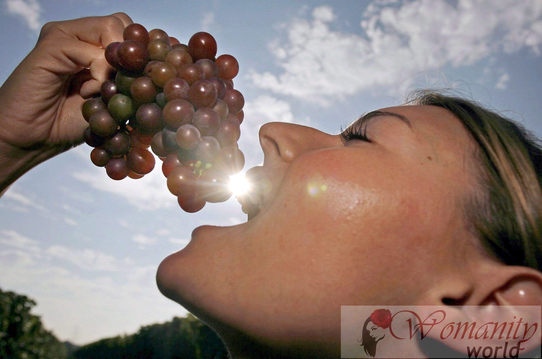 Wein: ein Getränk pro Tag gesund ist, wenn die Mahlzeit begleitet