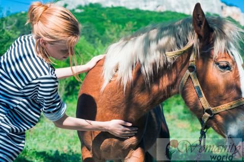 Pferde-Kolik: Was ist es, Ursachen und prädisponierende Faktoren.