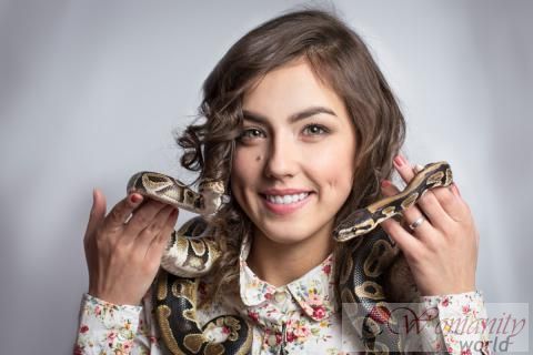 Am häufigsten Arten von Schlangen als Haustiere