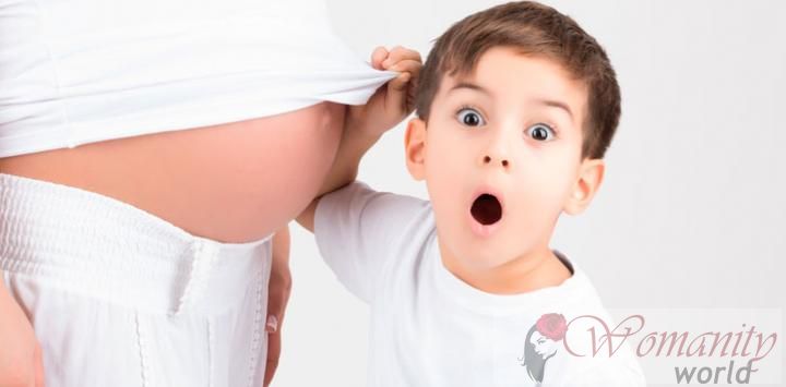 10 Interessante feiten over de zwangerschap