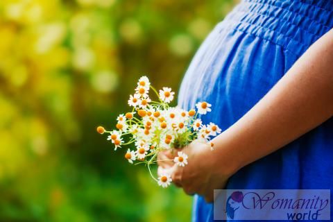 Sind gefährliche Heilpflanzen in der Schwangerschaft?