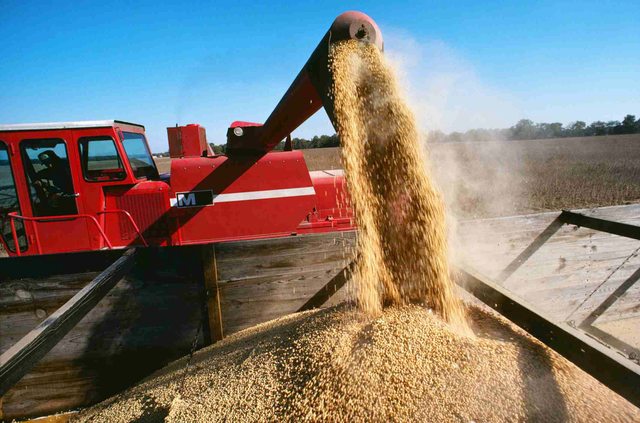 4 Överraskande livsmedel som kan gluten dig