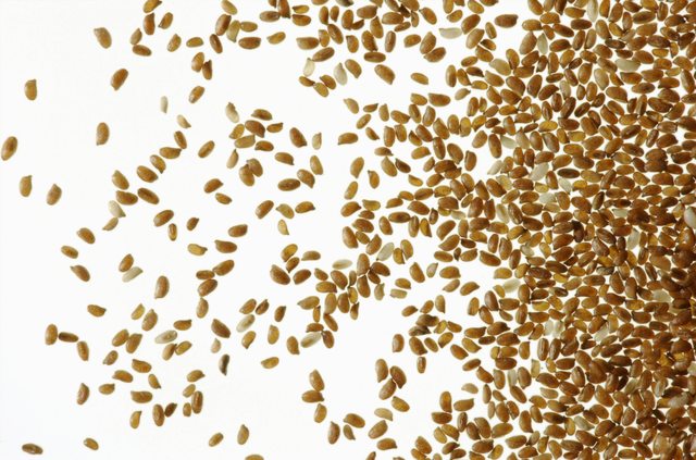 6 Wheat-Free Grain Alternatives Du bör försöka