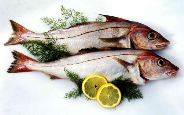 Fisk och skaldjur för att undvika kvicksilver