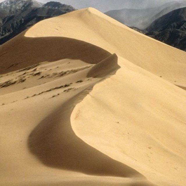 Sandboarding i nationalparker