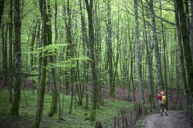 Planerar för din Camino de Santiago Walk