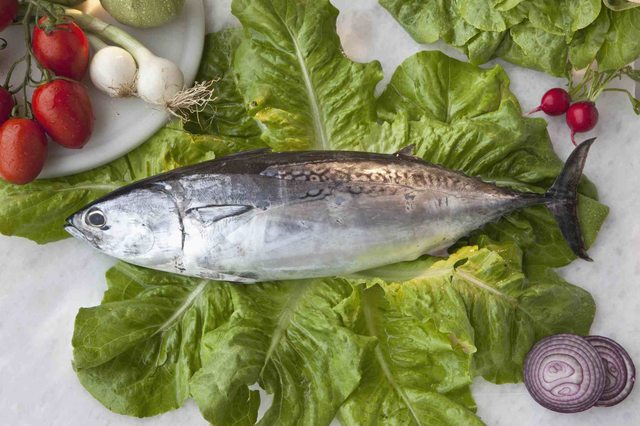 Topp 8 fisk för omega-3 fettsyror