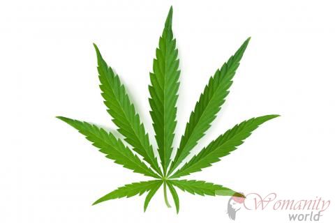 La marijuana: una droga e un rimedio per la salute