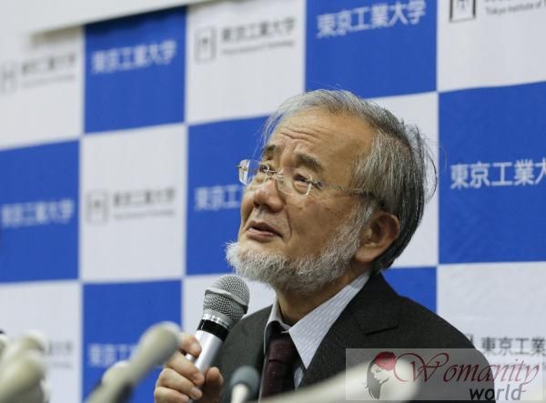 Nobelpriset i Medicin för japanska Ohsumi genom mekanismen för cell autophagy