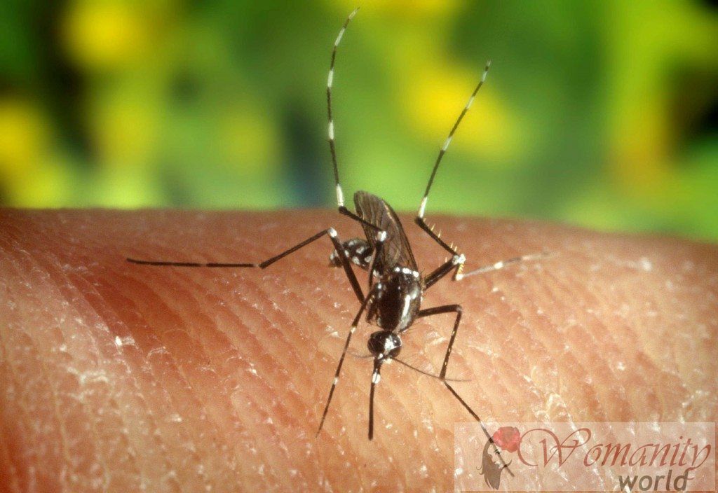Afrika är världens laboratorium för första vaccin mot malaria