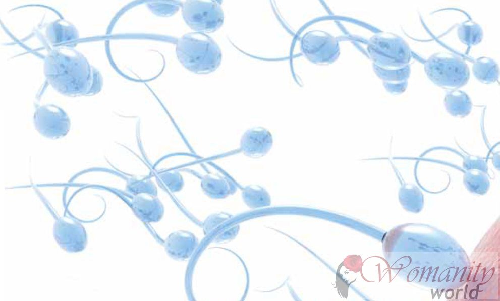 Huit facteurs qui affectent votre fertilité