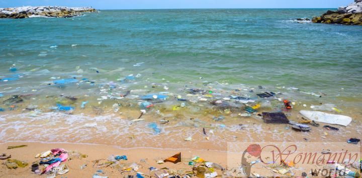 Im Jahr 2050 wird der Ozean mehr Kunststoff als Fische hat