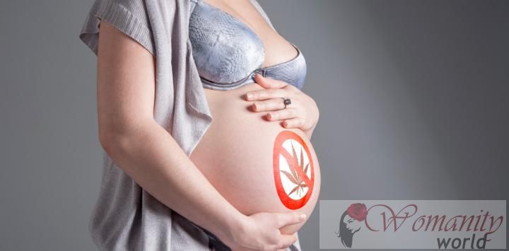 Waarschuwt tegen het gebruik van marihuana tijdens de zwangerschap