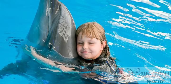 Zooterapia: dierverzorgingsmiddelen gezondheidsbevorderende therapieën.