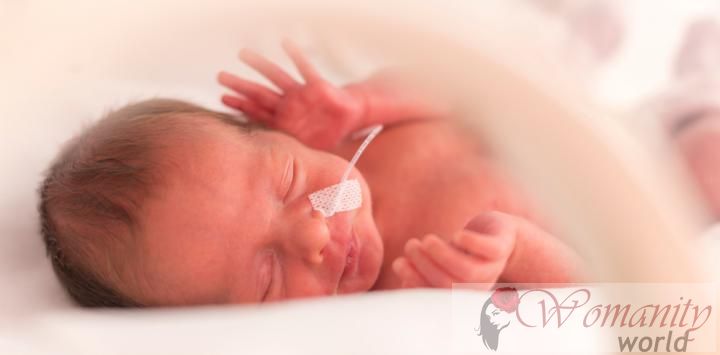 Sindrome da distress respiratorio nei neonati prematuri associata con un fungo