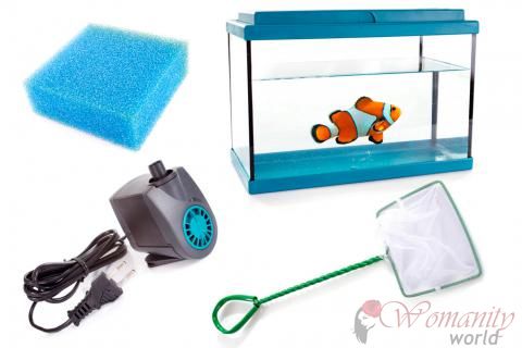Clown hygiène alimentaire et poissons.