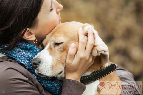 Die Bedeutung der letzten Abschied von Ihrem Haustier